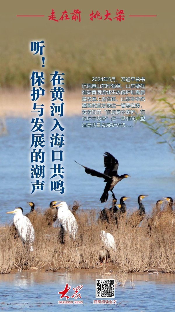 实盘配资炒股 走在前 挑大梁丨听！保护与发展的潮声在黄河入海口共鸣