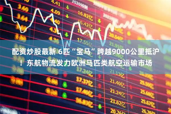 配资炒股最新 6匹“宝马”跨越9000公里抵沪！东航物流发力欧洲马匹类航空运输市场